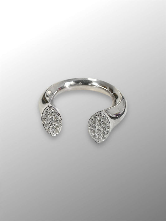 Anillo curvi